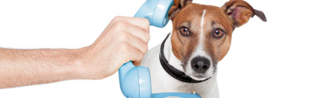 How Asperger’s Taught Me to Hate the Phone