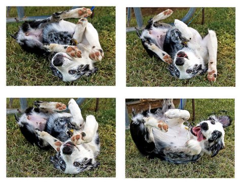 Happy stimming feels a lot like this