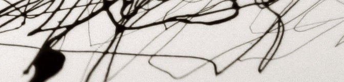 A Little Perspective on Perspective Taking