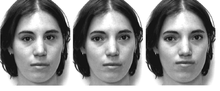 The face on the left has closer-set eyes and the face on the right has a raised mouth. The middle face is unaltered. (Barton et al, 2004)