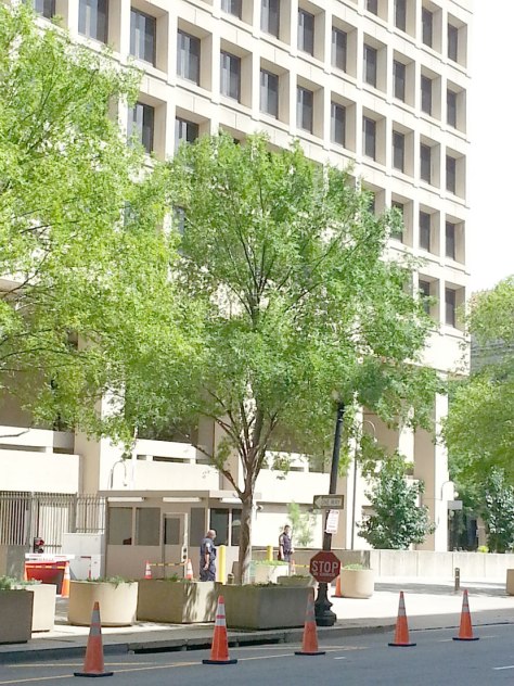 This is a stop sign next to garage entrance of the J. Edgar Hoover building in Washington DC (headquarters of the FBI). The sign says, "STOP ID Check". It's pretty hard to find stop signs in Washington DC because most of the intersections have stop lights. 