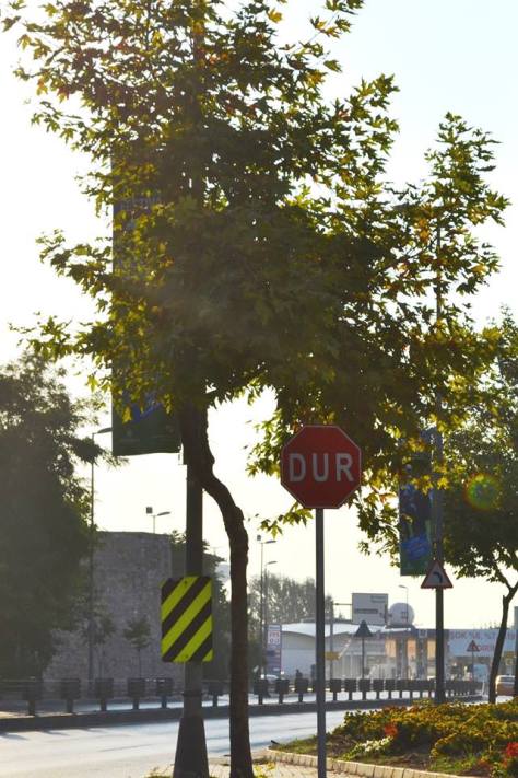 From Heidi Marie Stieber:  I took it from a moving car this morning in Turkey.  I take pictures of signs. Lots of them. lol. I guess it is something I really like, always have - as an adult, people don't really get to tell me I can't like it and can't do it. I hope he enjoys this one. — in Istanbul, Turkey.