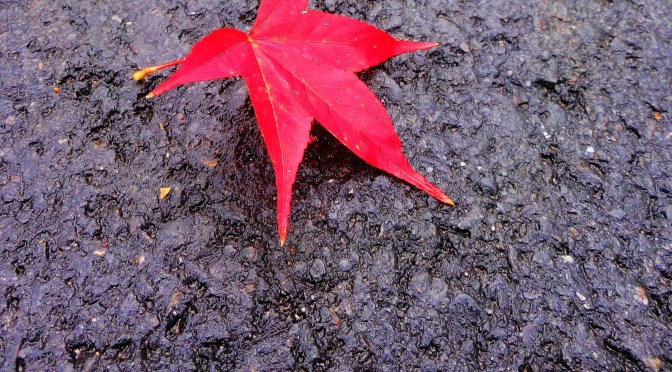 Changing Seasons and Sensory Sensitivities